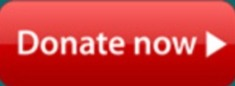 Donate Now
